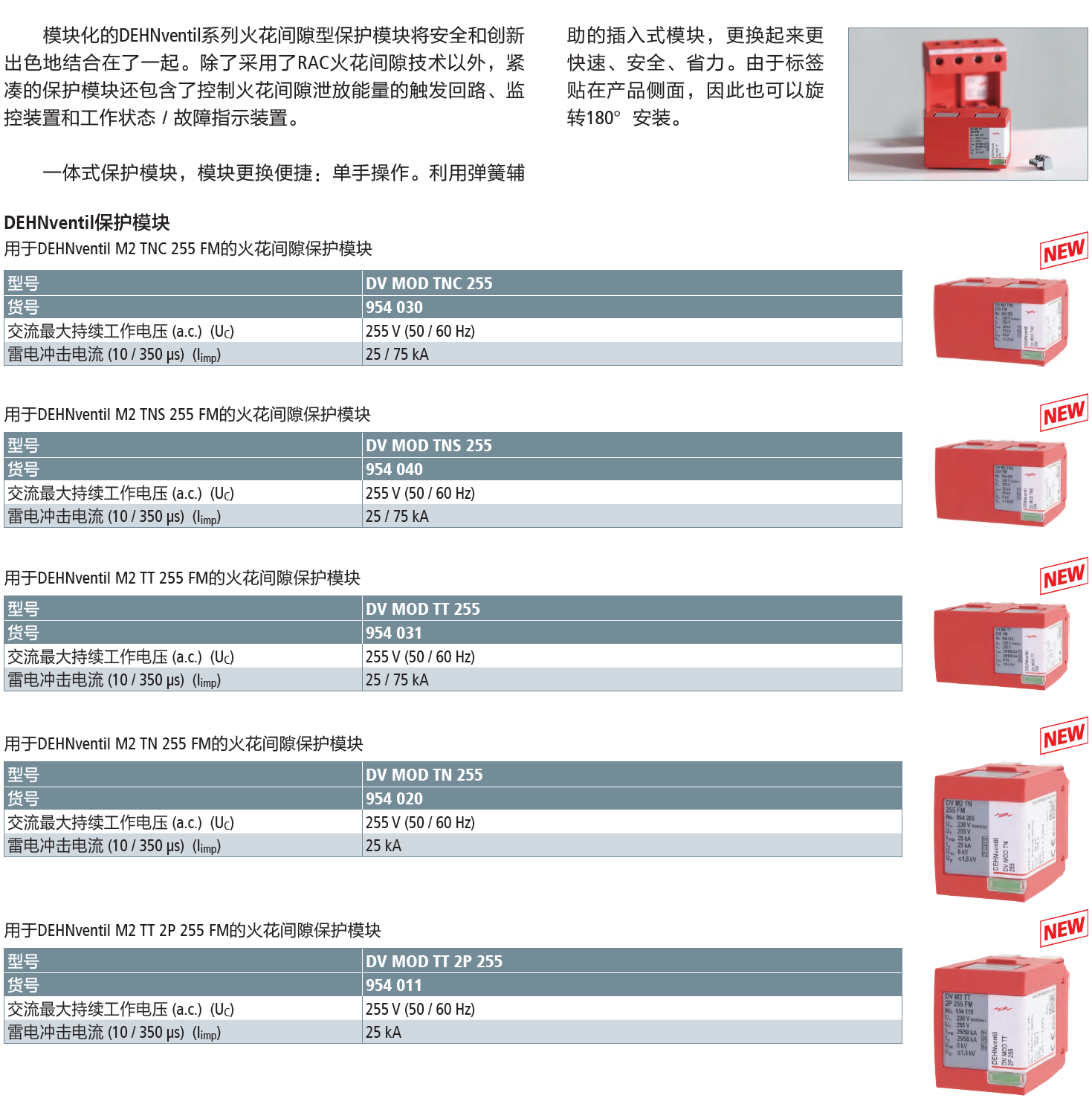 DV MOD TT 255 DEHN復(fù)合型電涌保護(hù)器模塊：高效雷電防護(hù)解決方案